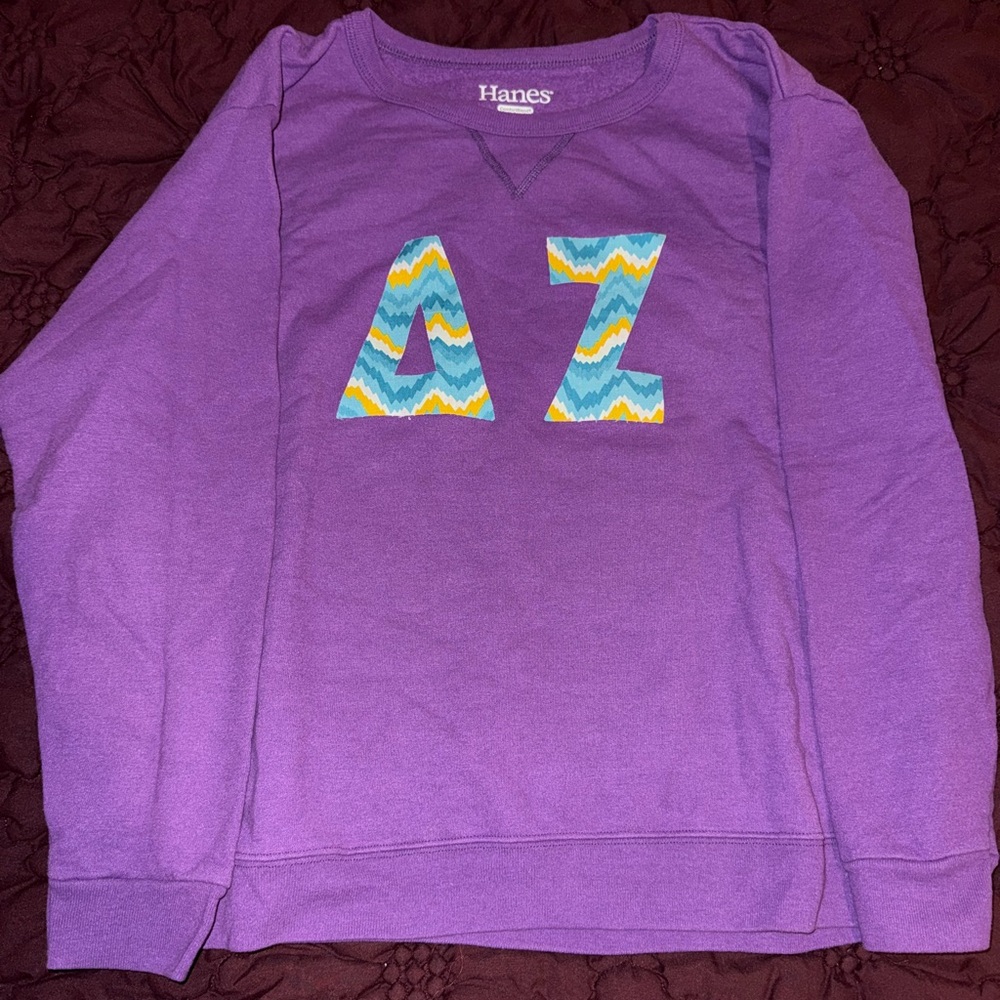 Delta Zeta Hanes ComfortBlend Soft Sweats Crewneck in Purple